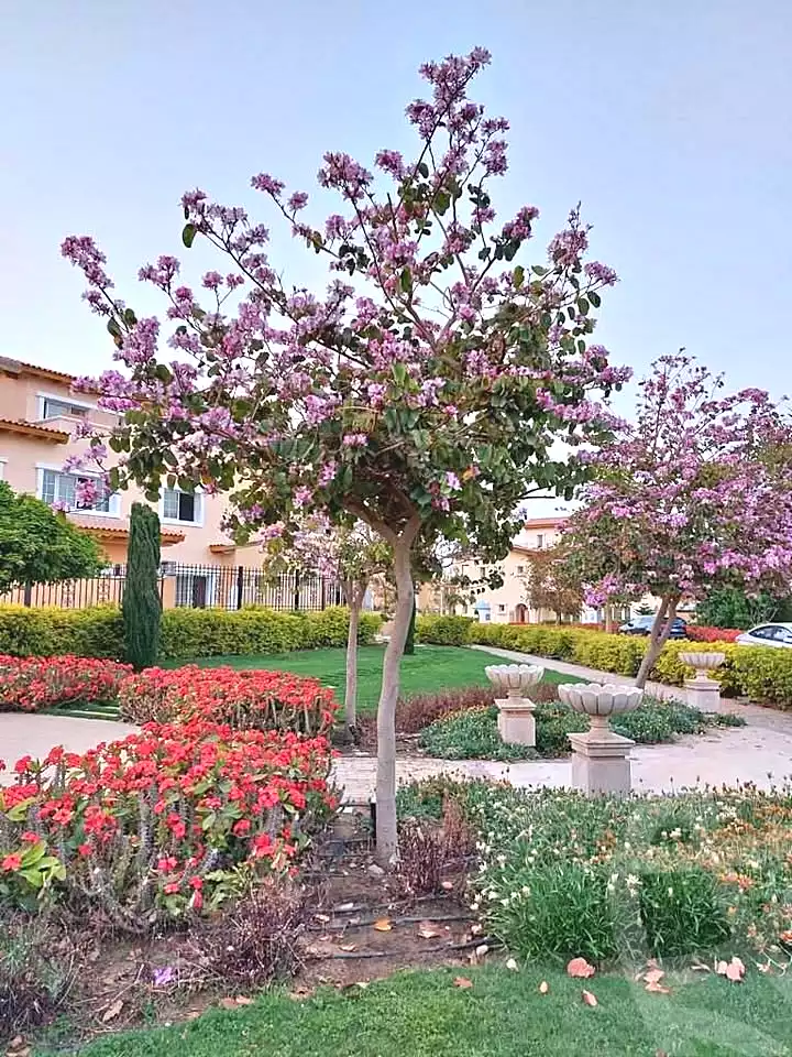 https://aqarmap.com.eg/en/listing/7268007-for-sale-cairo-new-cairo-6th-settlement-compounds-hyde-park-central-compound