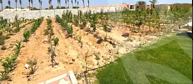 https://aqarmap.com.eg/en/listing/7269544-for-sale-cairo-ljyz