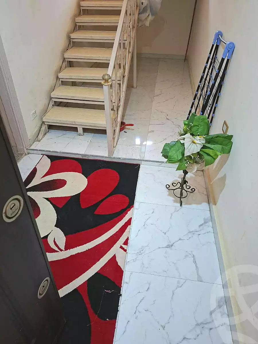 https://aqarmap.com.eg/en/listing/7269973-for-rent-cairo-new-cairo-first-settlement-neighborhood-12-farid-el-atrash-st