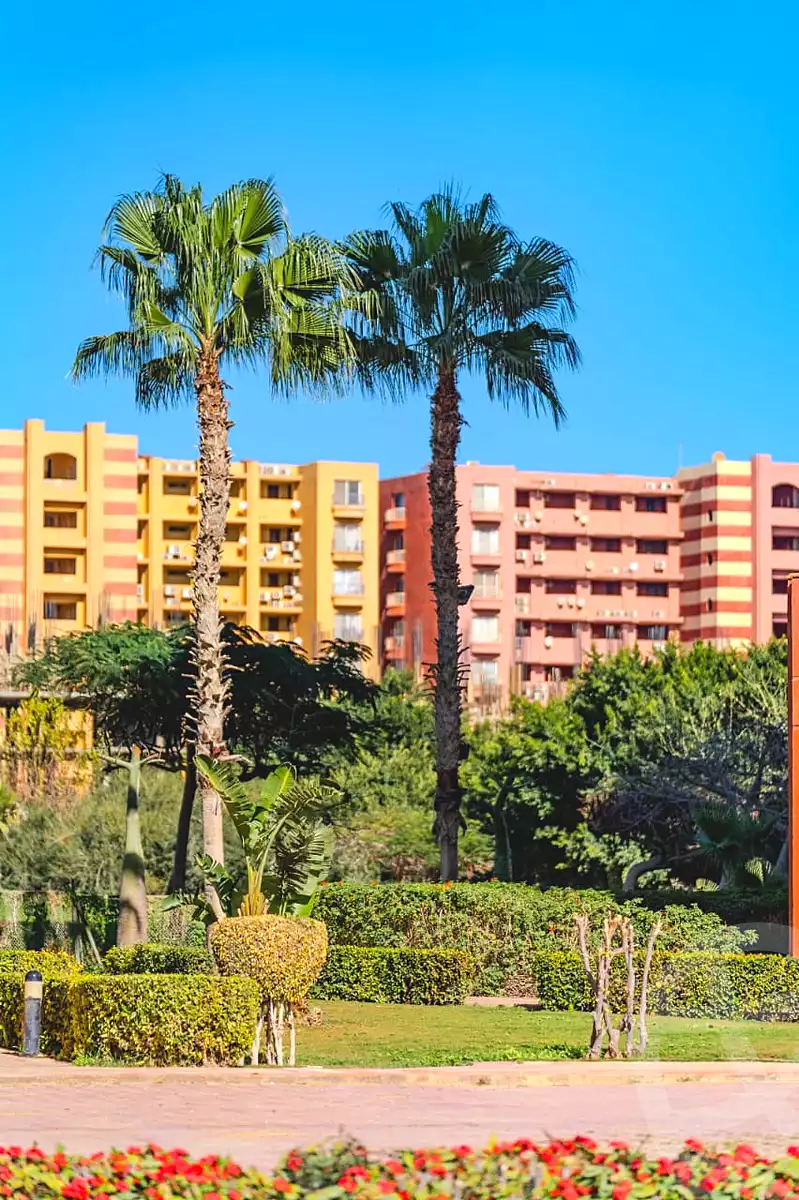 https://aqarmap.com.eg/ar/listing/7270348-for-sale-north-coast-resorts-porto-golf-marina