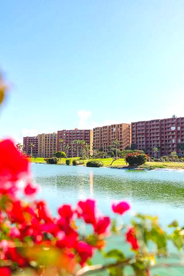 https://aqarmap.com.eg/ar/listing/7272971-for-sale-north-coast-resorts-porto-golf-marina