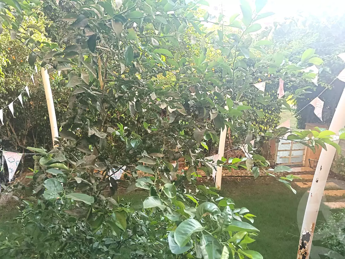 https://aqarmap.com.eg/ar/listing/7273071-for-sale-cairo-new-cairo-madinaty-eleventh-zone-buildings-group-112
