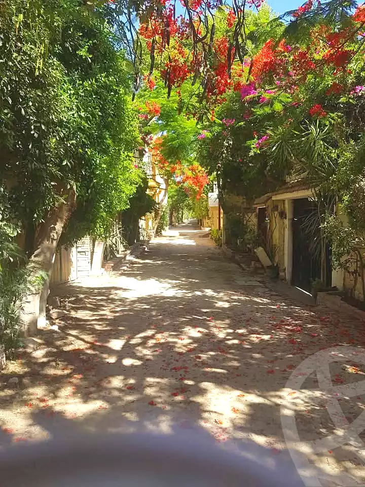 https://aqarmap.com.eg/ar/listing/7274662-for-sale-alexandria-al-agamy-lbytsh-el-hanafeya-st