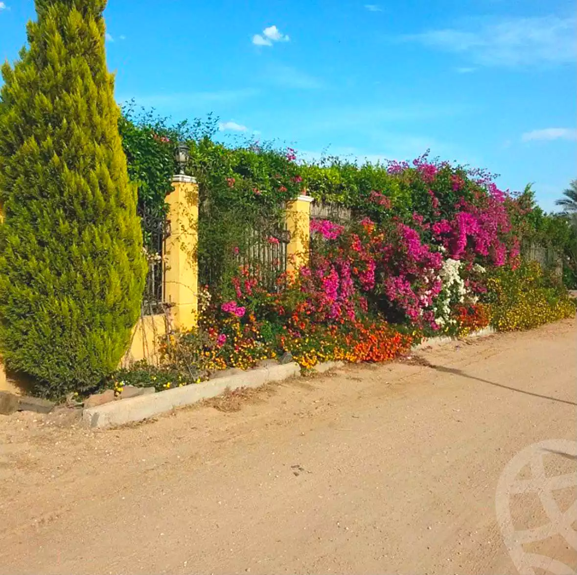 3 BR Villa in Sandorini, photo 4 of 9