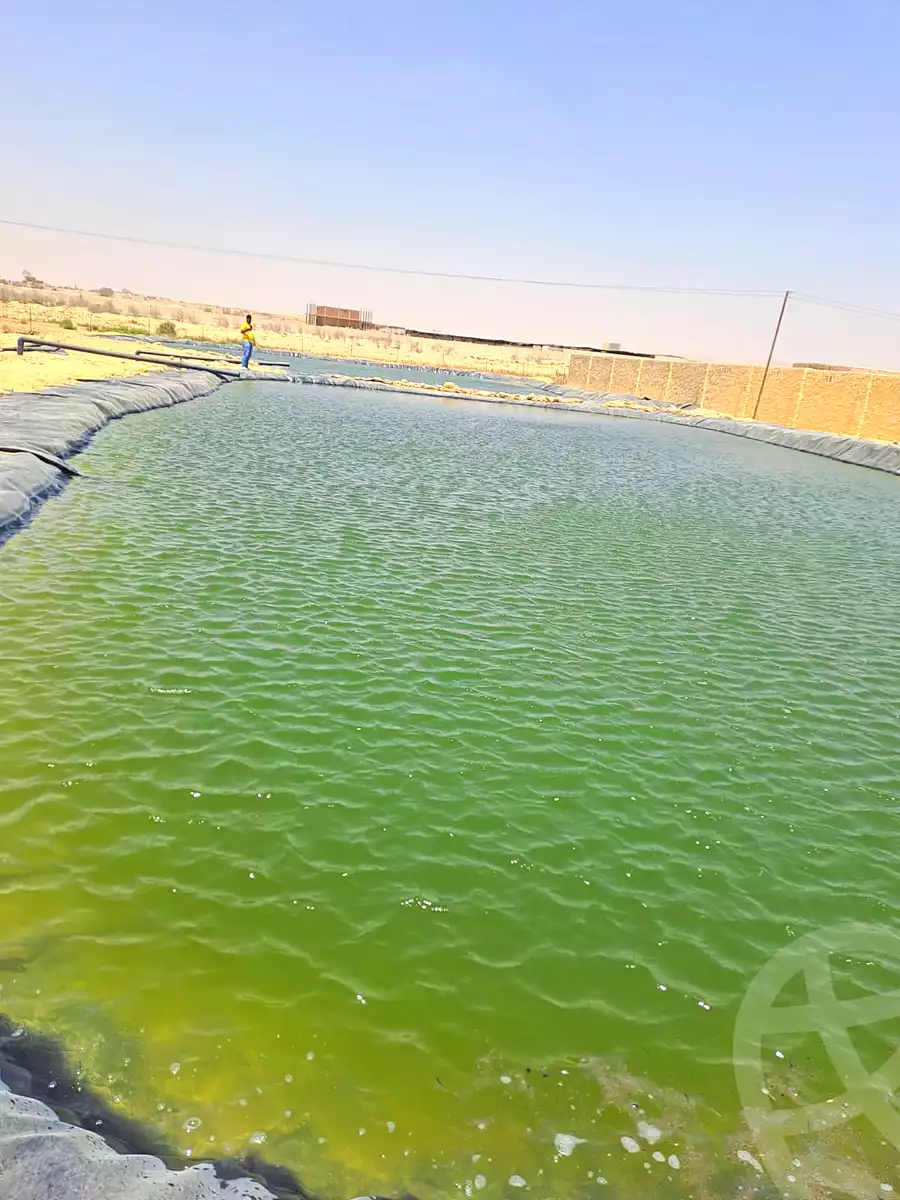 https://aqarmap.com.eg/ar/listing/7280971-for-sale-el-fayoum-tamiya-moshat-el-doktour-el-gamal