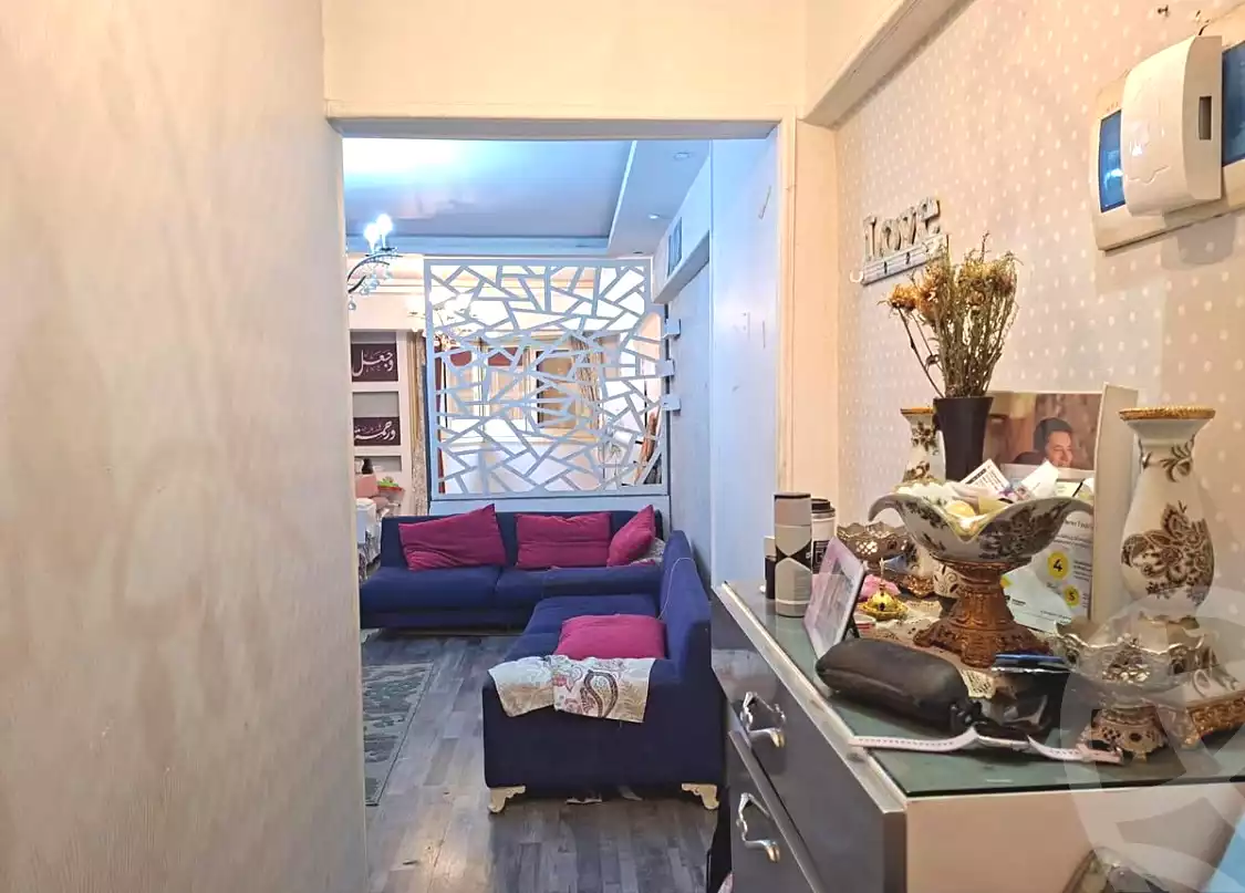 https://aqarmap.com.eg/en/listing/7282273-for-sale-alexandria-smouha