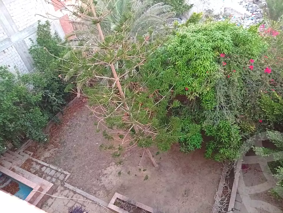 https://aqarmap.com.eg/en/listing/7284889-for-sale-alexandria-el-amreya-el-kilo-26