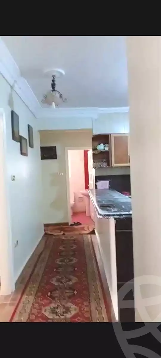 https://aqarmap.com.eg/ar/listing/7285776-for-sale-alexandria-new-miami-eskot