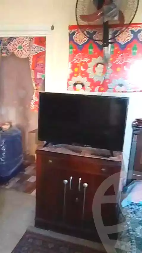 https://aqarmap.com.eg/en/listing/7289497-for-sale-alexandria-el-dekhela