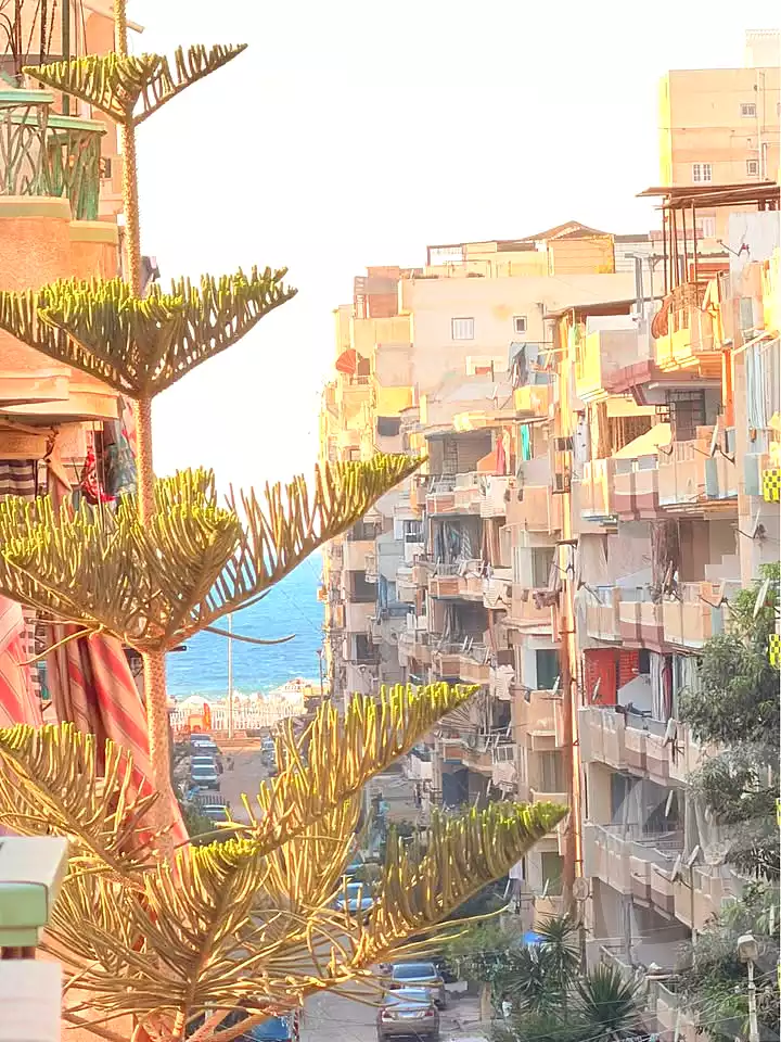 https://aqarmap.com.eg/en/listing/7290501-for-sale-alexandria-al-agamy-shataa-el-nakheel
