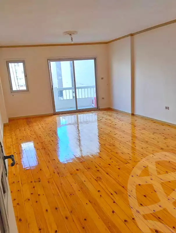 https://aqarmap.com.eg/en/listing/7291574-for-rent-alexandria-ganaklis