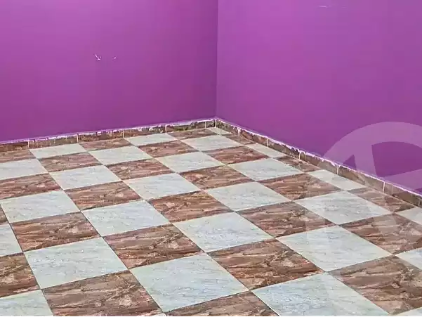 https://aqarmap.com.eg/en/listing/7292127-for-rent-cairo-ain-shams