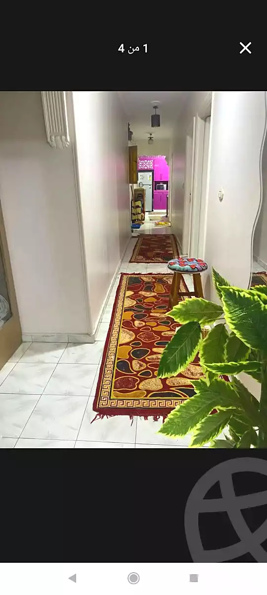 https://aqarmap.com.eg/ar/listing/7294393-for-sale-alexandria-sydy-bshr-sydy-bshr-qbly-cairo-st