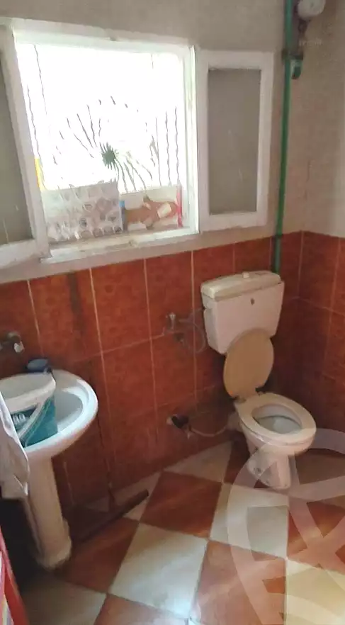 https://aqarmap.com.eg/en/listing/7294811-for-rent-alexandria-el-dekhela