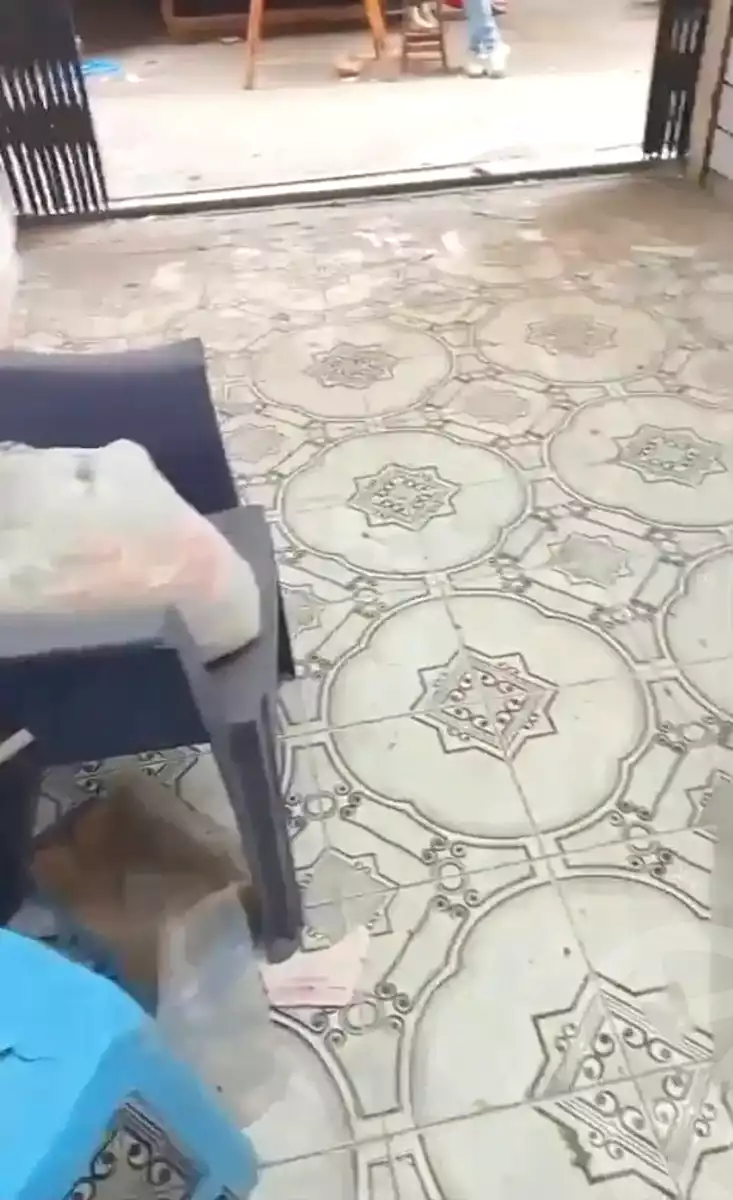https://aqarmap.com.eg/ar/listing/7295627-for-sale-alexandria-bakoos