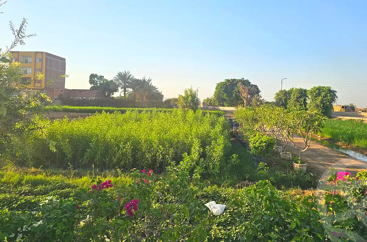 https://aqarmap.com.eg/ar/listing/7295735-for-sale-cairo-ljyz-wsym-el-barajil