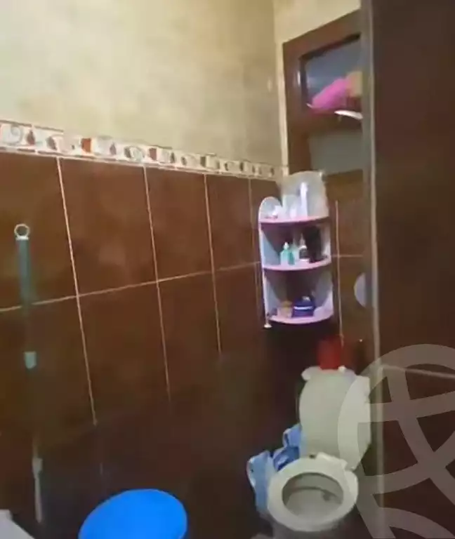 https://aqarmap.com.eg/en/listing/7296246-for-sale-cairo-ain-shams-ain-shams-el-sharkia-el-eshrein-stt