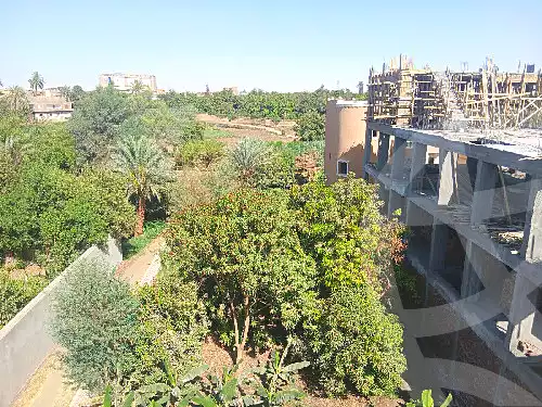 https://aqarmap.com.eg/en/listing/6496646-for-sale-luxor-luxor-city-el-awameya