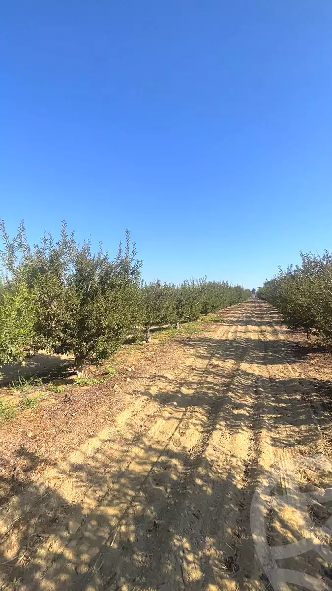 https://aqarmap.com.eg/ar/listing/7302074-for-sale-monufia-sadat-city-manteqat-el-2000-fadan