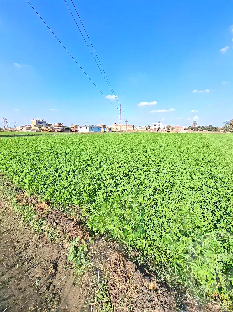 https://aqarmap.com.eg/en/listing/7304424-for-sale-sharqia-faqous-el-sawaleh
