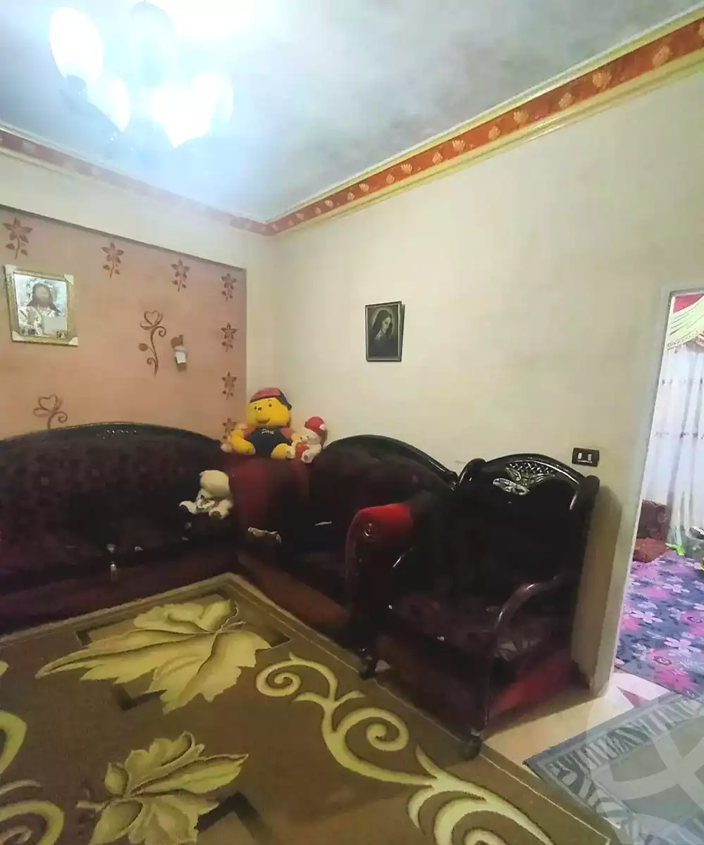 https://aqarmap.com.eg/en/listing/7304906-for-sale-alexandria-mntq-fr-y-blskndry-el-awayed