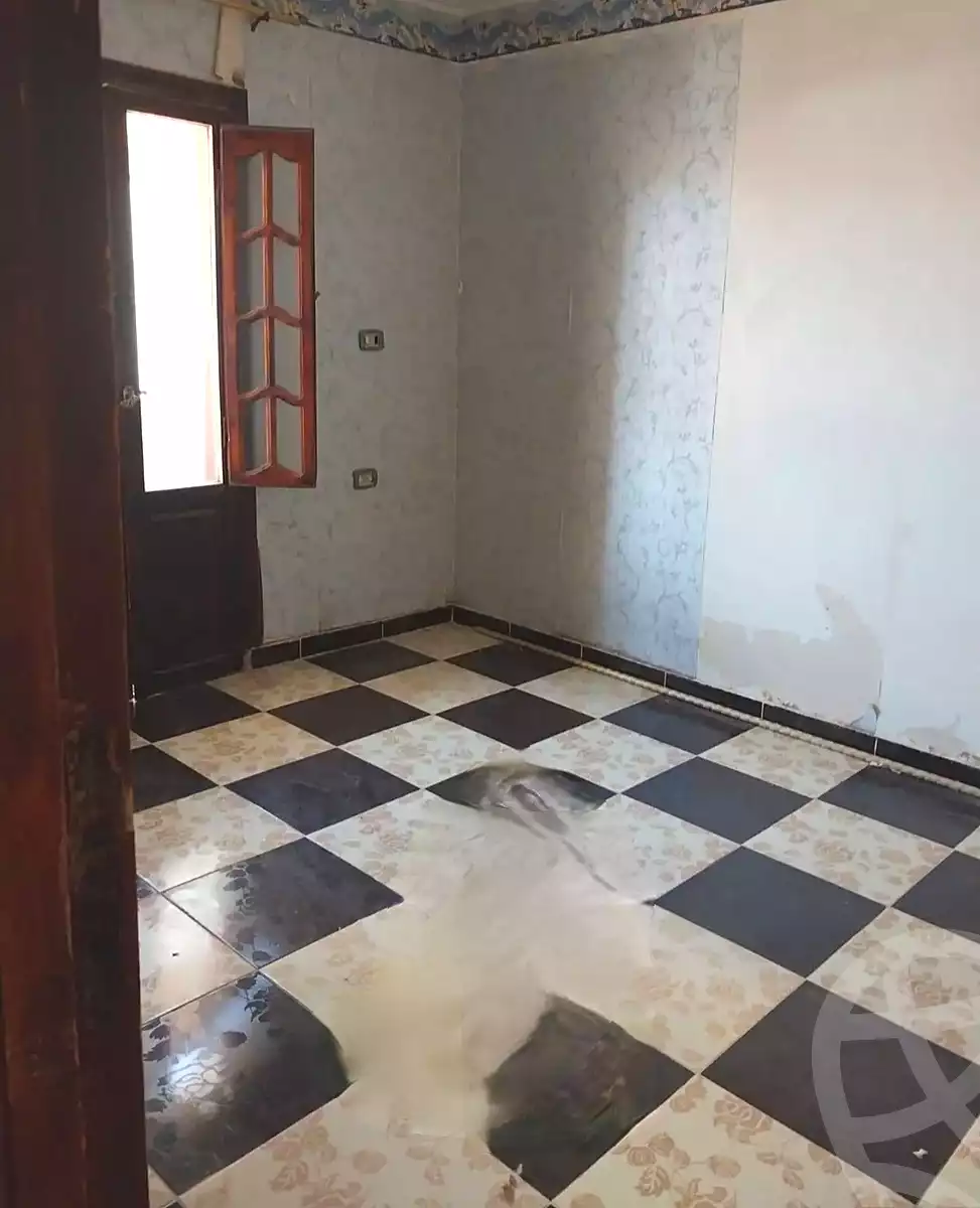 https://aqarmap.com.eg/en/listing/7305130-for-rent-alexandria-al-agamy-lbytsh-bianchiii
