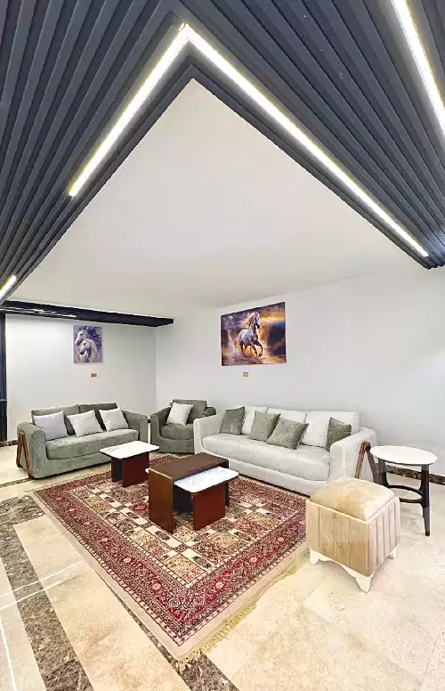 https://aqarmap.com.eg/ar/listing/7299706-for-sale-cairo-nasr-city-abbas-el-akkad