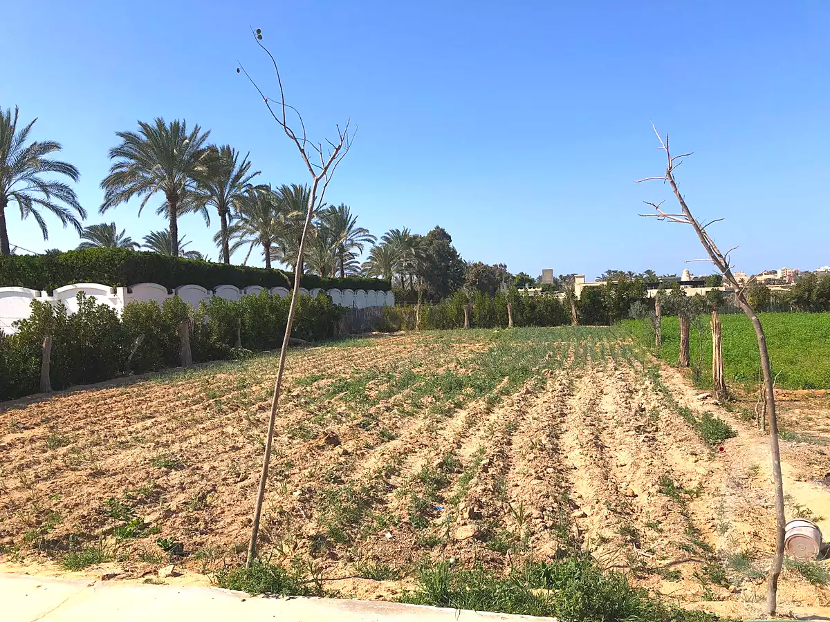 https://aqarmap.com.eg/en/listing/7306882-for-sale-alexandria-borg-el-arab-el-bahira-st
