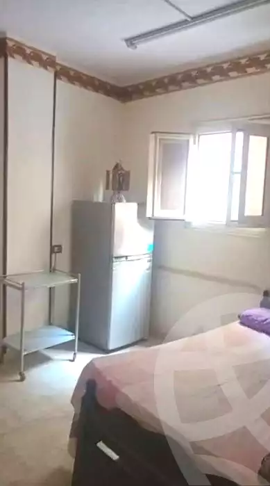 https://aqarmap.com.eg/en/listing/7307181-for-rent-cairo-ain-shams-ain-shams-el-sharkia-el-horeya-st