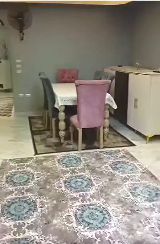 https://aqarmap.com.eg/en/listing/7307509-for-sale-cairo-faisal-khaled-mekki-st