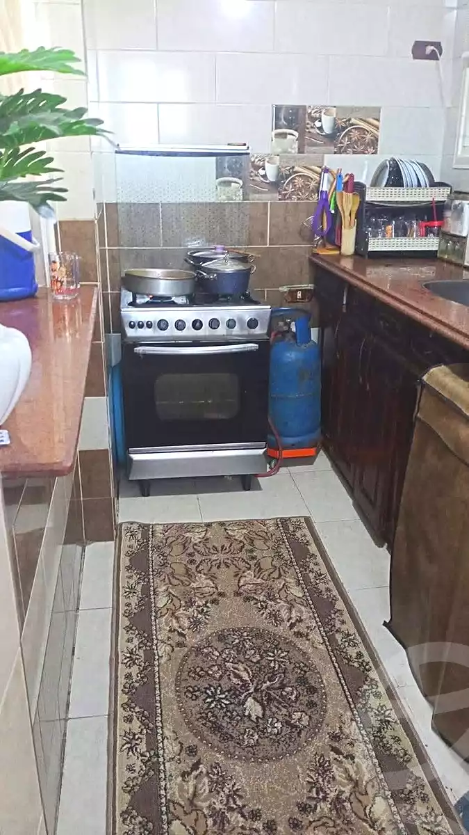 https://aqarmap.com.eg/en/listing/7307930-for-sale-alexandria-fyktwry-al-mohammedeya-st