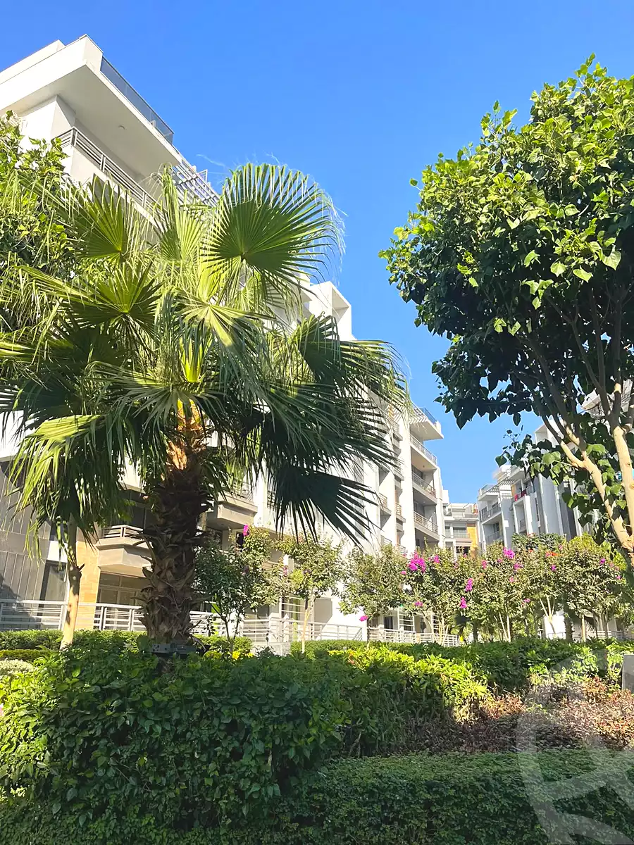 https://aqarmap.com.eg/en/listing/7309279-for-sale-cairo-new-cairo-compounds-the-icon-gardens-compound-style-home