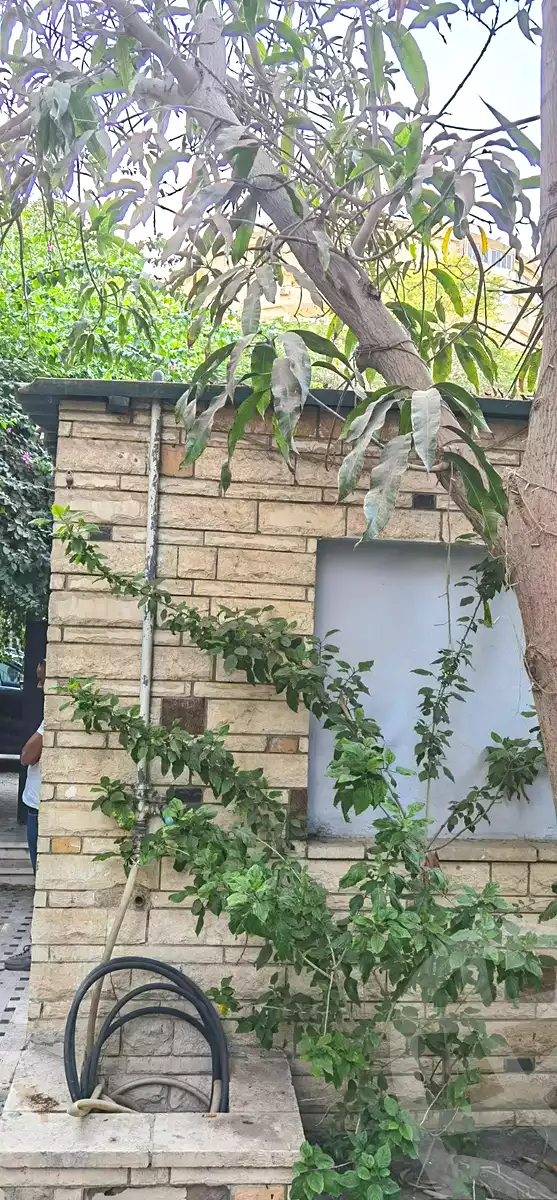 https://aqarmap.com.eg/ar/listing/7312715-for-rent-cairo-el-maadi-el-maadi-el-gededa-el-nasr-st