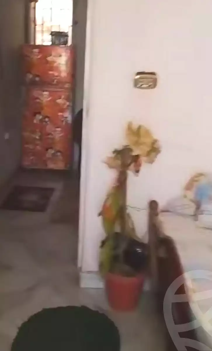 https://aqarmap.com.eg/ar/listing/7308356-for-sale-cairo-shoubra
