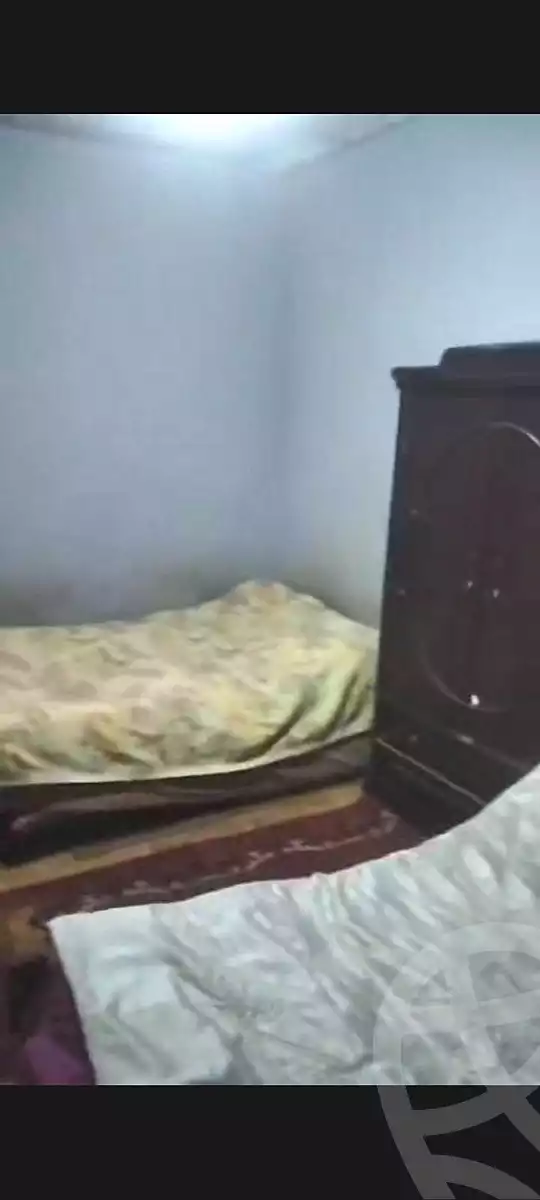 https://aqarmap.com.eg/en/listing/7313263-for-sale-alexandria-el-mandara-alex-el-mandara-bahri-nemat-allah-st