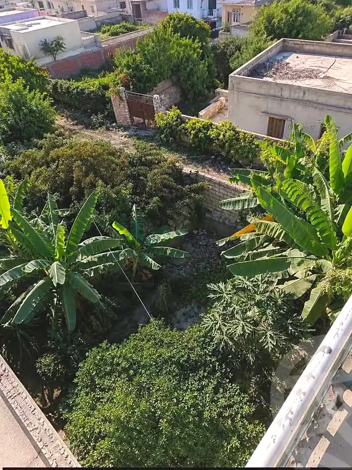 https://aqarmap.com.eg/ar/listing/7314584-for-sale-alexandria-al-agamy-lbytsh-el-batal-ahmed-abd-el-aziz-belbis-st