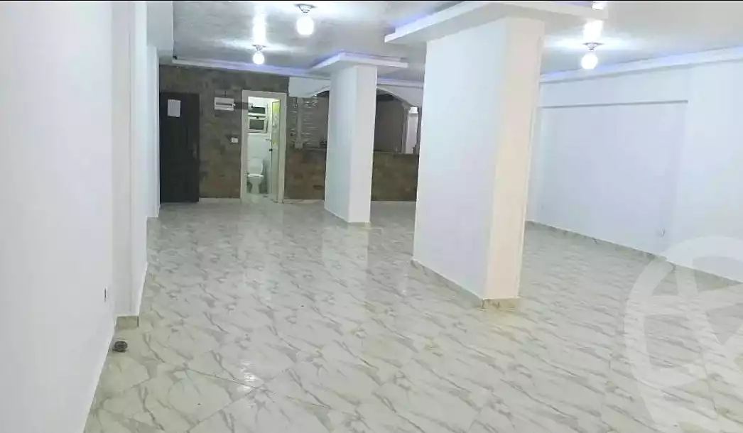 https://aqarmap.com.eg/en/listing/7318280-for-rent-alexandria-el-asafra