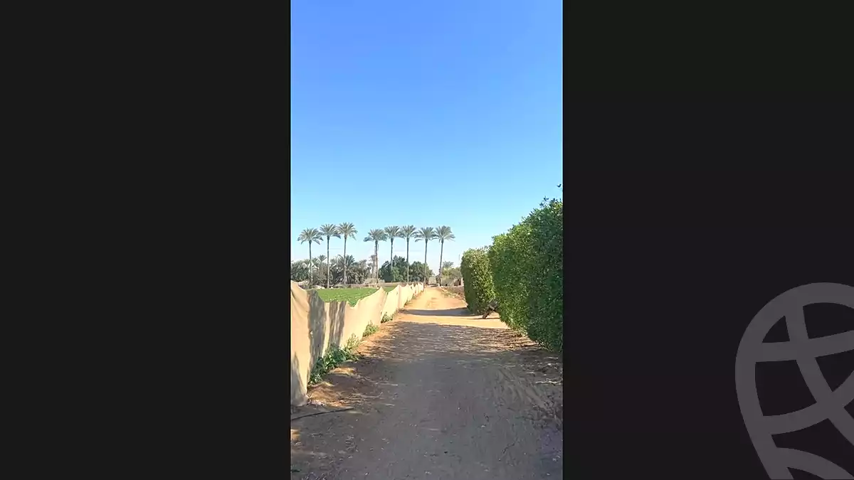 https://aqarmap.com.eg/en/listing/7319767-for-sale-cairo-el-mansuriyyah-el-saliba