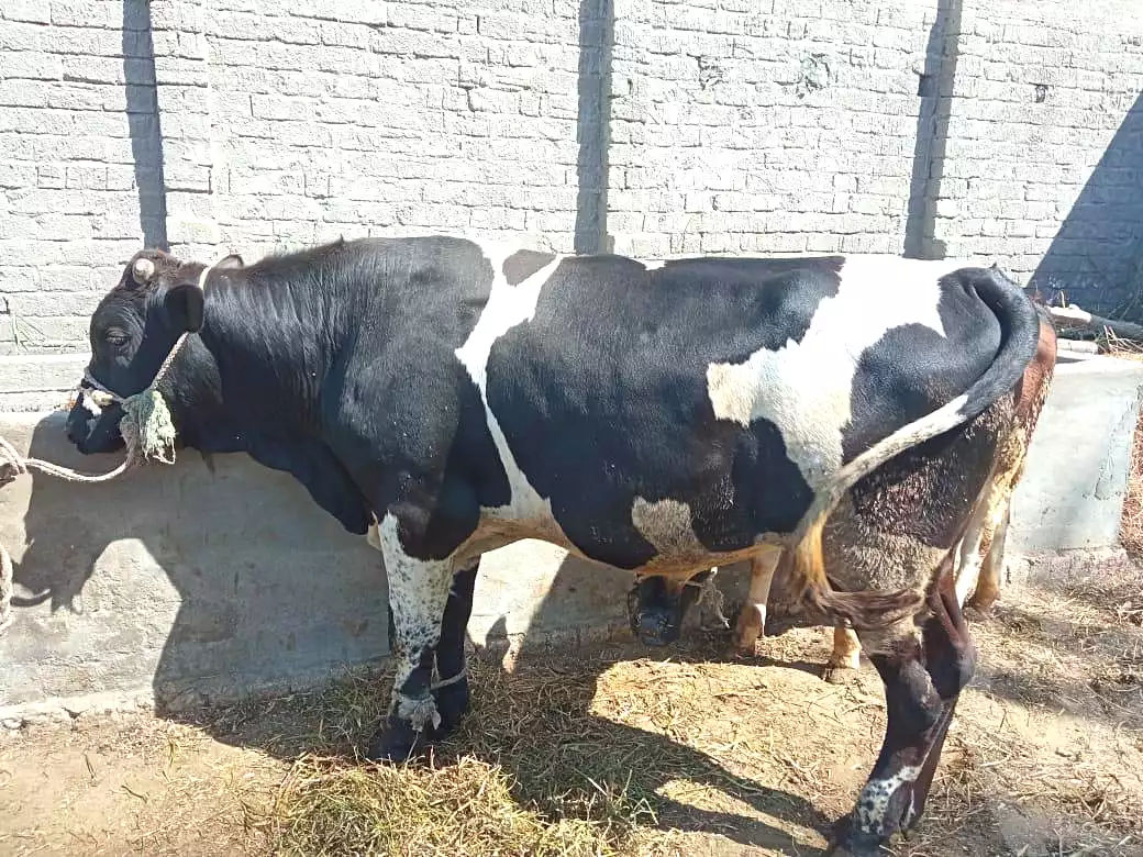 https://aqarmap.com.eg/ar/listing/7322993-for-sale-dakahlia-gamasa-15-may-city