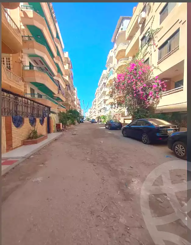https://aqarmap.com.eg/en/listing/7328384-for-sale-alexandria-al-agamy-shataa-el-nakheel-street-10