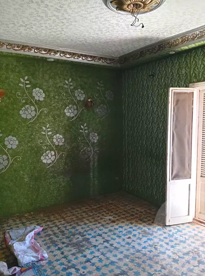 https://aqarmap.com.eg/ar/listing/7330958-for-sale-alexandria-el-dekhela