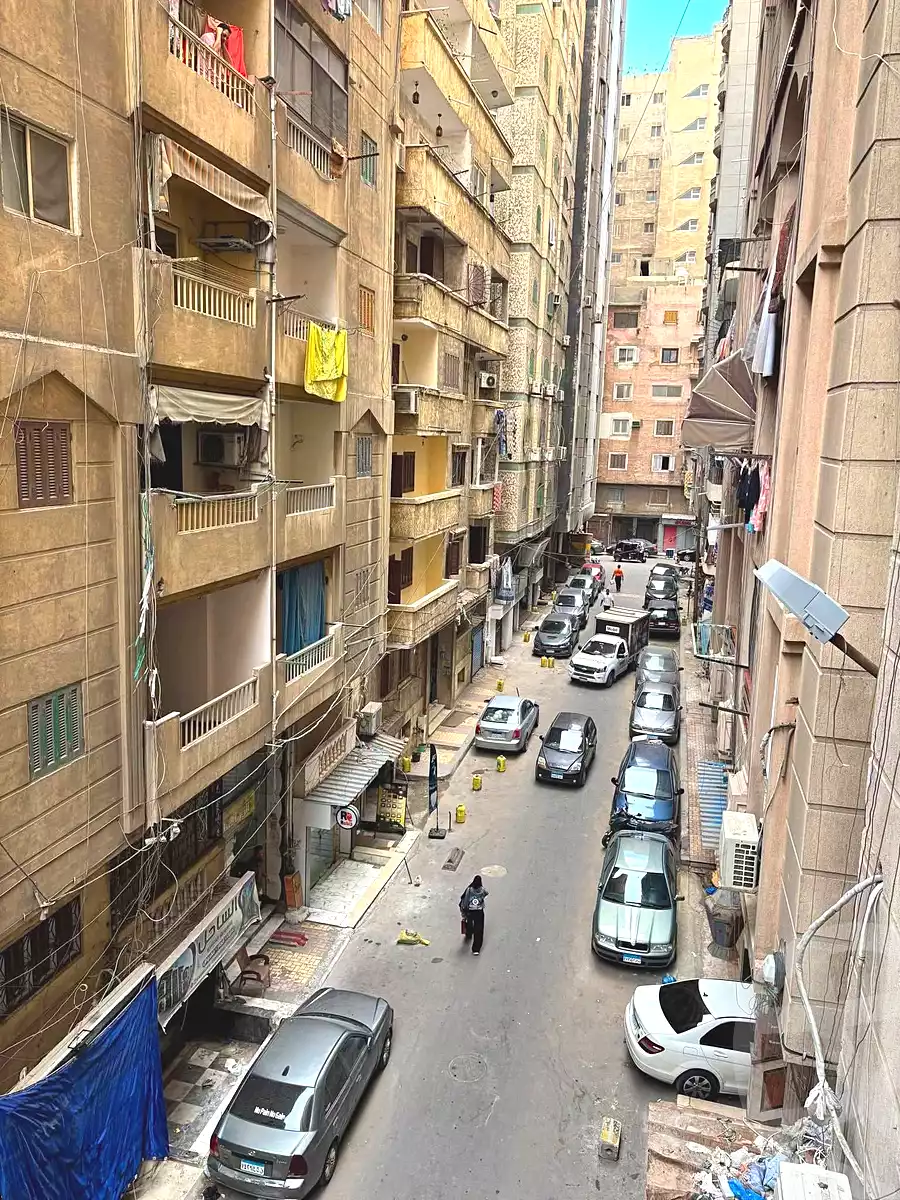 https://aqarmap.com.eg/en/listing/7330972-for-sale-alexandria-miami-iskandar-ibrahim-st