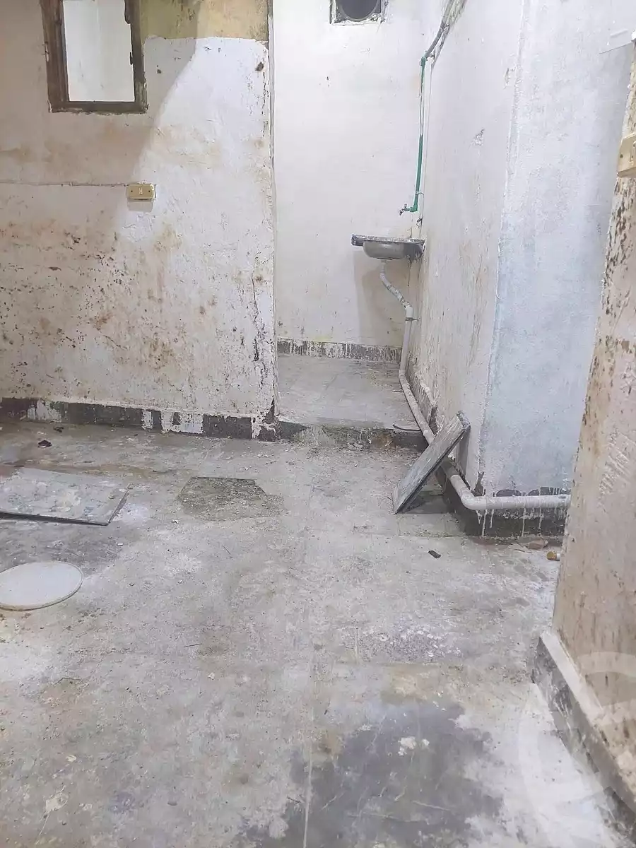https://aqarmap.com.eg/en/listing/7331211-for-rent-cairo-ljyz
