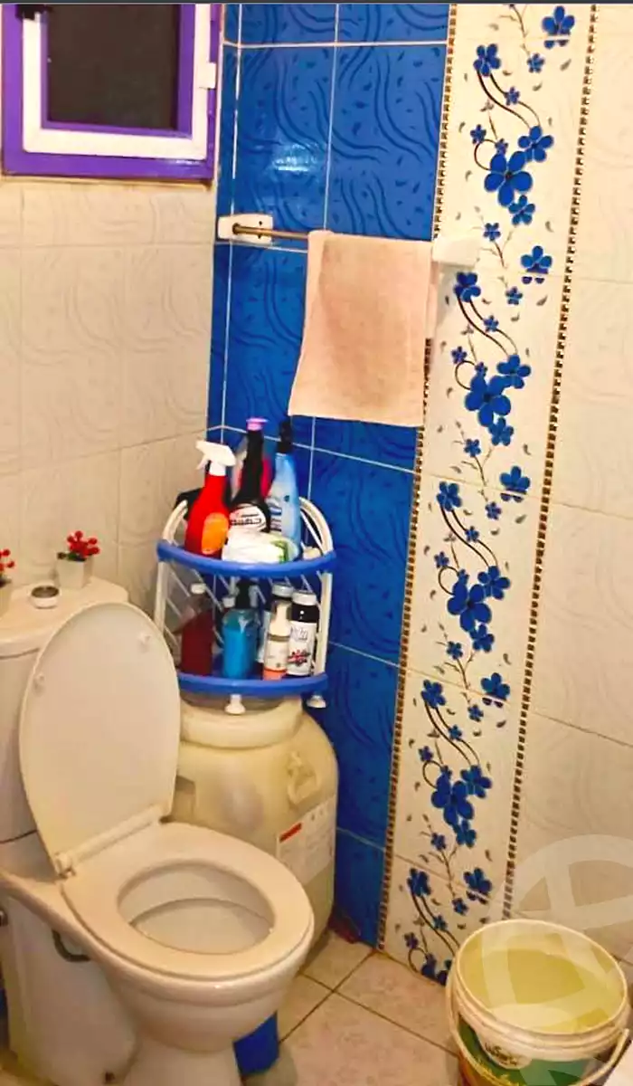 https://aqarmap.com.eg/en/listing/7335880-for-sale-alexandria-el-dekhela