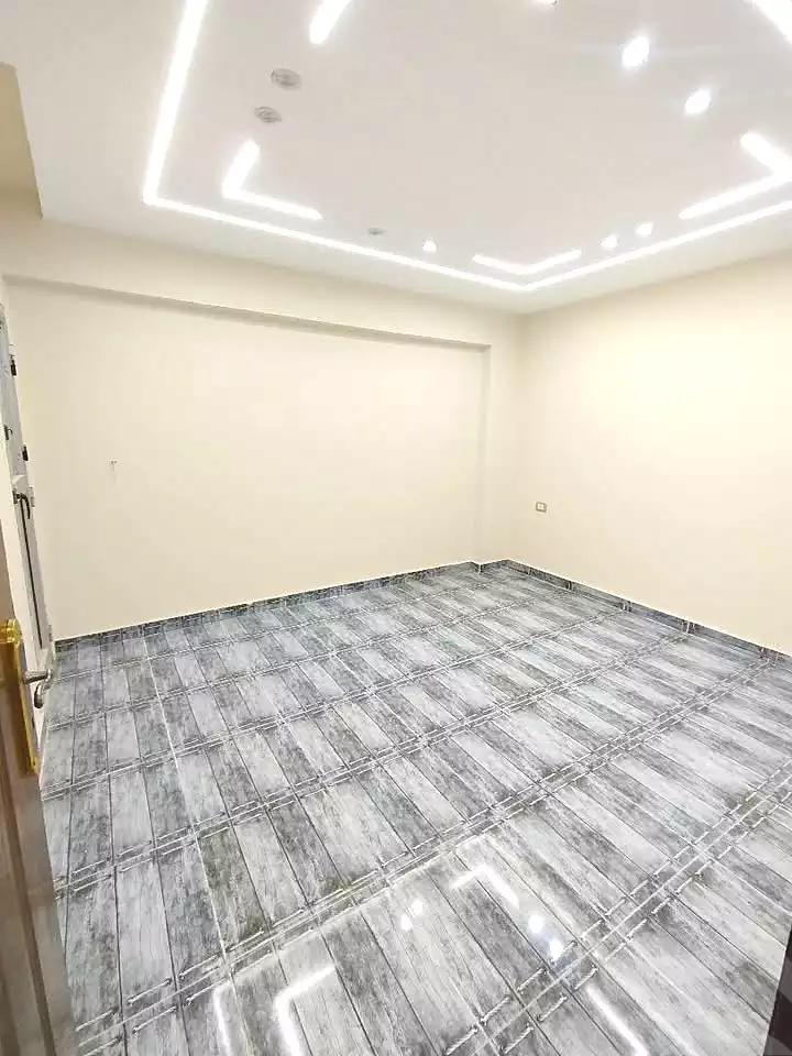 https://aqarmap.com.eg/en/listing/7337803-for-sale-alexandria-lsywf-el-falki