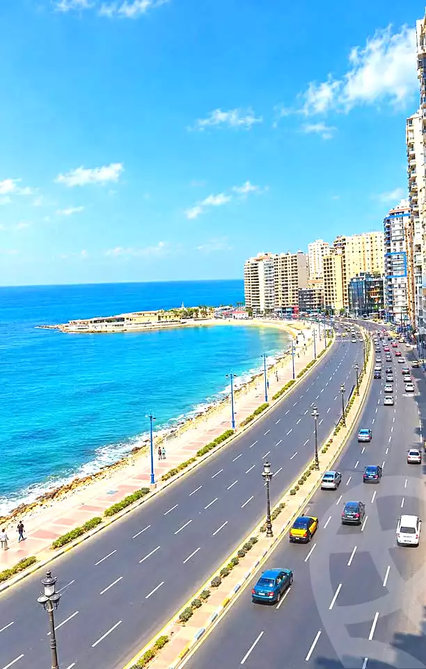 https://aqarmap.com.eg/ar/listing/7337923-for-sale-alexandria-sydy-bshr-tryq-ljysh
