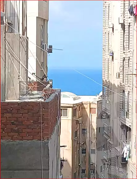 https://aqarmap.com.eg/en/listing/7338021-for-sale-alexandria-el-mandara-alex-el-mandara-bahri-sidi-kamal-st