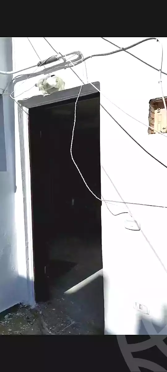 https://aqarmap.com.eg/en/listing/7338020-for-sale-alexandria-el-asafra-l-sfr-bhry