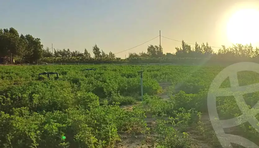 https://aqarmap.com.eg/ar/listing/7338678-for-sale-beheira-wadi-el-natrun