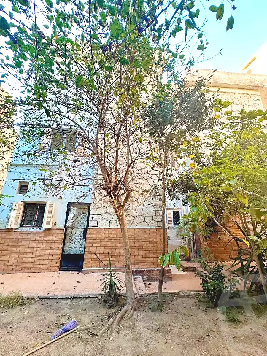 https://aqarmap.com.eg/en/listing/7338705-for-sale-alexandria-al-agamy-lbytsh-bianchiii-street-11